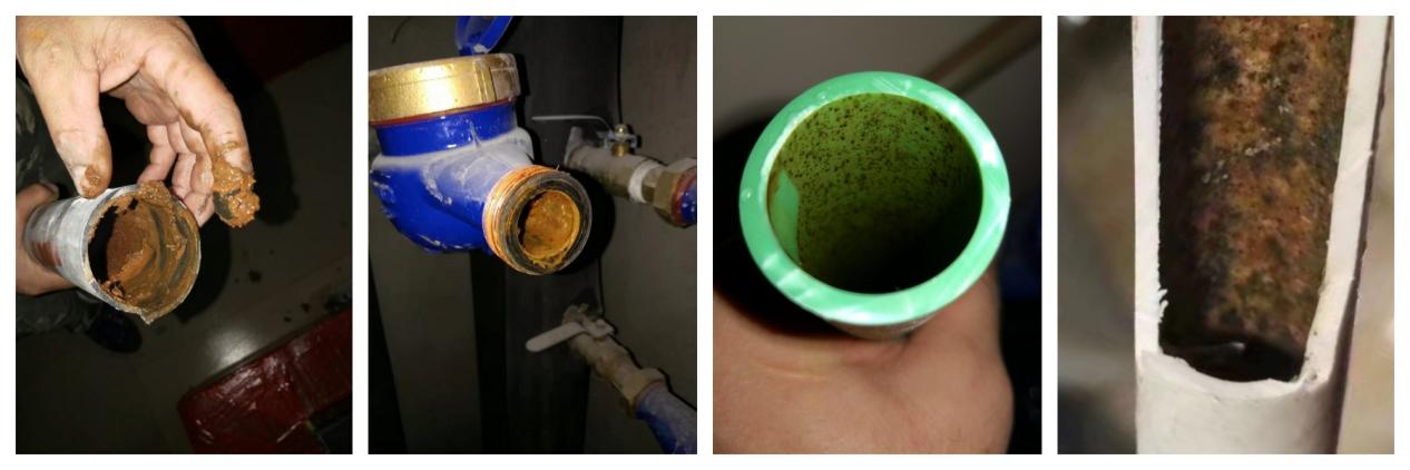 圖片1.jpg 圖片1.jpg