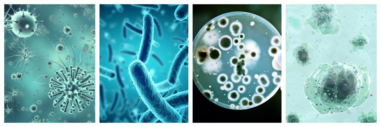 圖片2.jpg 圖片2.jpg