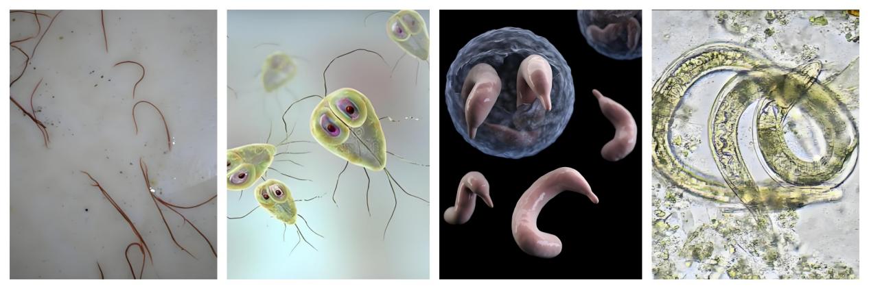 圖片3.jpg 圖片3.jpg